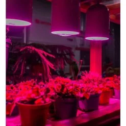 Viribright 9-Watt E26 Medium Base A19 Non-Dim Indoor and Greenhouse Full Spectrum LED Grow Bulb 11 Umols 1-Bulb -KOHLER Sale Store green viribright grow light bulbs 290101 44 1000
