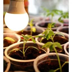 Viribright 9-Watt E26 Medium Base A19 Non-Dim Indoor and Greenhouse Full Spectrum LED Grow Bulb 11 Umols 1-Bulb -KOHLER Sale Store green viribright grow light bulbs 290101 fa 1000