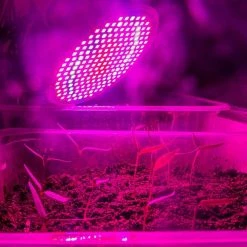 Viribright 16-Watt E26 Medium Base Par38 Non-Dim Indoor and Greenhouse Full Spectrum LED Grow Bulb 21 Umols 1-Bulb 8 Viribright 16-Watt E26 Medium Base Par38 Non-Dim Indoor and Greenhouse Full Spectrum LED Grow Bulb 21 Umols 1-Bulb -KOHLER Sale Store green viribright grow light bulbs 290103 1f 1000