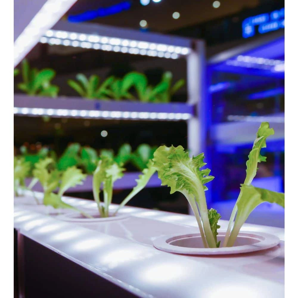 2 ft. 30-Watt Indoor Full Spectrum Integrated LED Linkable Grow Light Daylight 5000K 1-Fixture by Viribright 5 2 ft. 30-Watt Indoor Full Spectrum Integrated LED Linkable Grow Light Daylight 5000K 1-Fixture by Viribright - Image 5