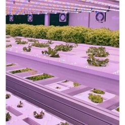 3 ft. 600-Watt Indoor Full Spectrum Integrated LED Canopy Grow Light Fixture Daylight 5000K 1560 UmolS 1-Fixture by Viribright -KOHLER Sale Store viribright grow light kits 290108 fa 1000