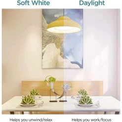 100-Watt Equivalent Daylight (6500K) A19 E26 Base LED Light Bulbs (12-Pack) by Viribright -KOHLER Sale Store viribright led light bulbs 751659 12 44 1000